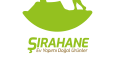 Örnek Logo Tasarımları