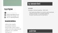 profesyonel cv hazırlama ve tasarımı