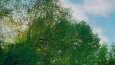 Colour grading