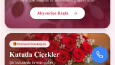 Web Sitesi ve Web Uygulamaları, Pazar yerleri