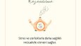 Grafik Tasarım & Web Yazılım