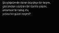 Birkaç örnek şiir.