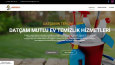 Profesyonel Web Site Tasarımları