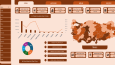 Dashboard Raporu