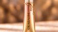 olabalım-marka oluşturma