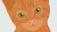 Hayalinizdeki Tasarımı Görsele Dönüştürelim