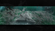 Youtube BANNER