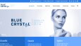 WordPress Siteleri