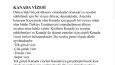 Kanada Vizesi Hakkında Seo Makale