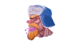 ARKA PLAN KALDIRMA