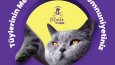 Marla Pet Shop Sosyal Medya Tasarımı