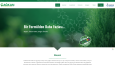 Profesyonel WordPress Web Sitesi - SEO ve Hız Dahil