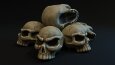 Gladiator and Skulls 