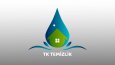 Logo Tasarımı
