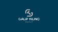 Galip Kılınç İnşaat Logo Tasarımı