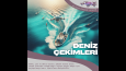 Örnek Açılar ve Projeler