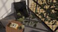 Render Portfolio