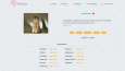 Next.js ile fullstack evcil hayvan sahiplendirme sitesi