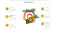 Social Fruit E-Ticaret Tasarımı