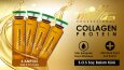Banner Tasarımları