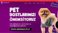 Dijital Dünya'ya Kazandırdıklarım
