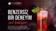 Dergi, katalog, broşür vb. tasarım ve mizanpajı