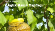 Sosyal Medya Tasarımları