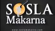 Marka Tanıtım İntrosu - Dinamik Açılış Animasyonu