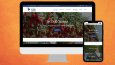 Wordpress Kurumsal Web Sitelerimiz