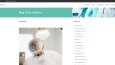 Wordpress ile geçmiş işlerim