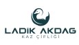 Markanızın İmzası: Özgün ve Çarpıcı Logolar