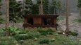 Orman Evi - Forest House / Modelleme - Görselleştirme Render