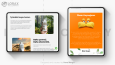 Lorax the Company Web Sitesi