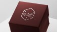 Qubic Silver Logo Tasarımı