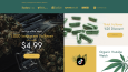Social Fruit E-Ticaret Tasarımı