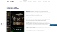 Alfa Fortuna - Wordpress Web Sayfası