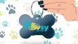 Pawsy Pet Care Marka Kimliği Tasarımı