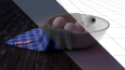 The egg