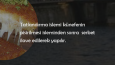 Sosyal Medya 