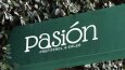 Pasión - Logo Tasarımı