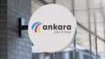 Ankara Yapı & Boya - Konsept Logo Tasarımı