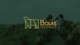 ''Bovis'' Logo Tasarımı