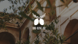 Ion Olive Oil - Logo & Ambalaj Tasarımı
