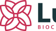 Bir çok sadece ve şık logo tasarımları yapıyorum