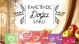 Sosyal Medya Tasarımları (post, story, banner, slider)