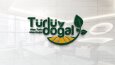 Markanızın Değerini Yükselten Kurumsal Logo