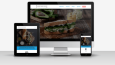Web tasarım