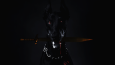 Dark Dog