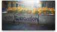 Nish Education Sokak Reklamı
