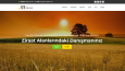 Responsive, Admin panelli kurumsal website